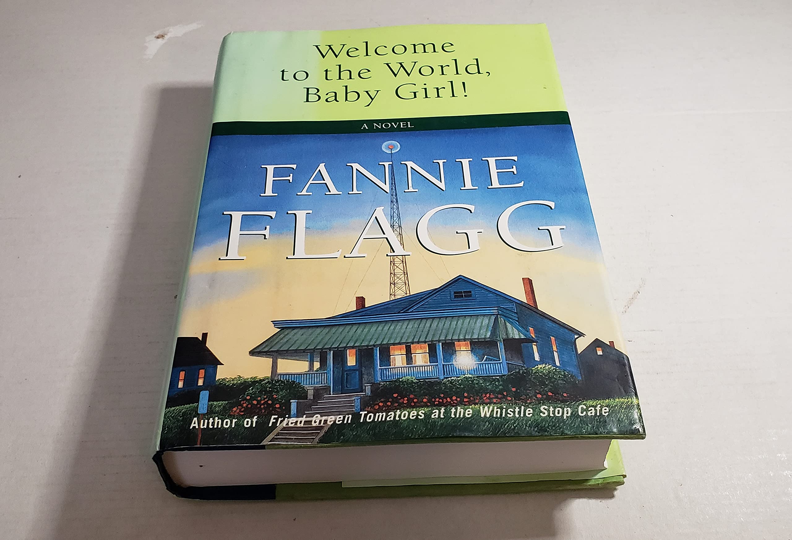 Welcome to the World, Baby Girl!: A Novel Contemporary literature