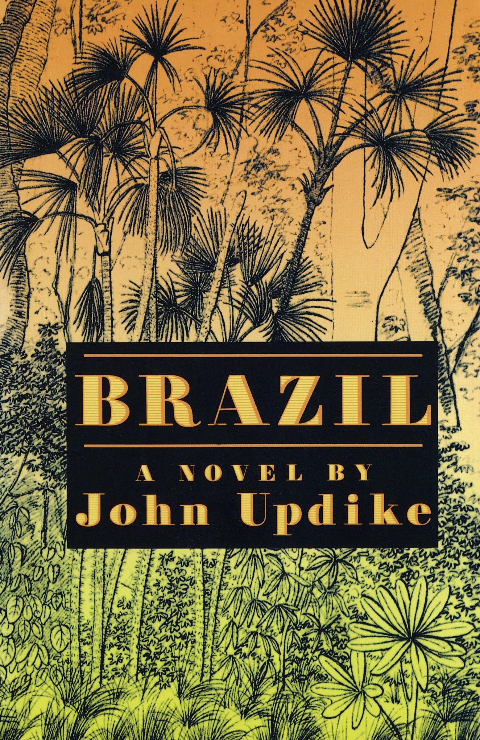 Brazil: A novel Contemporary literature