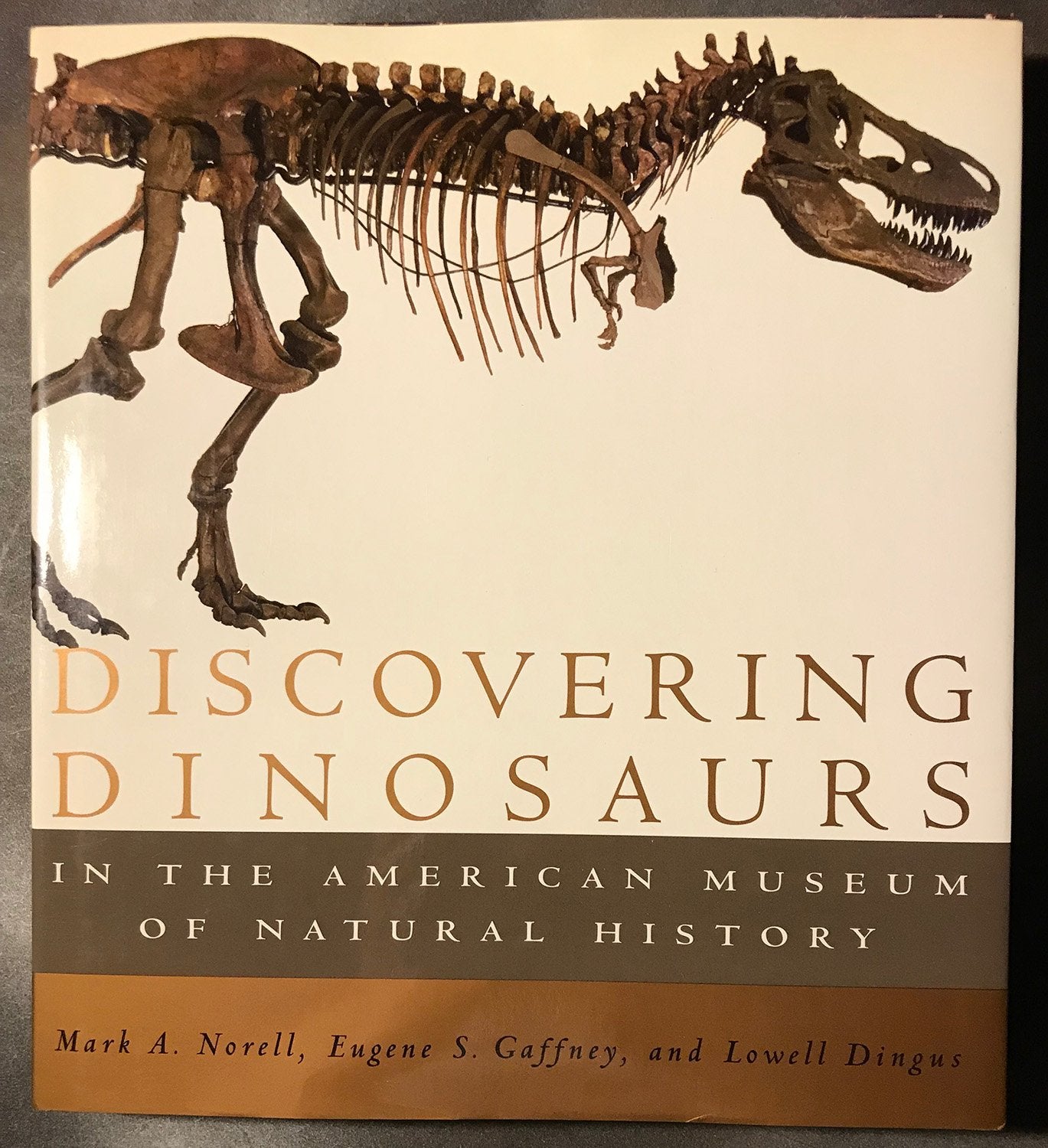 Discovering Dinosaurs in the American Museum of Natural History Business & Technology