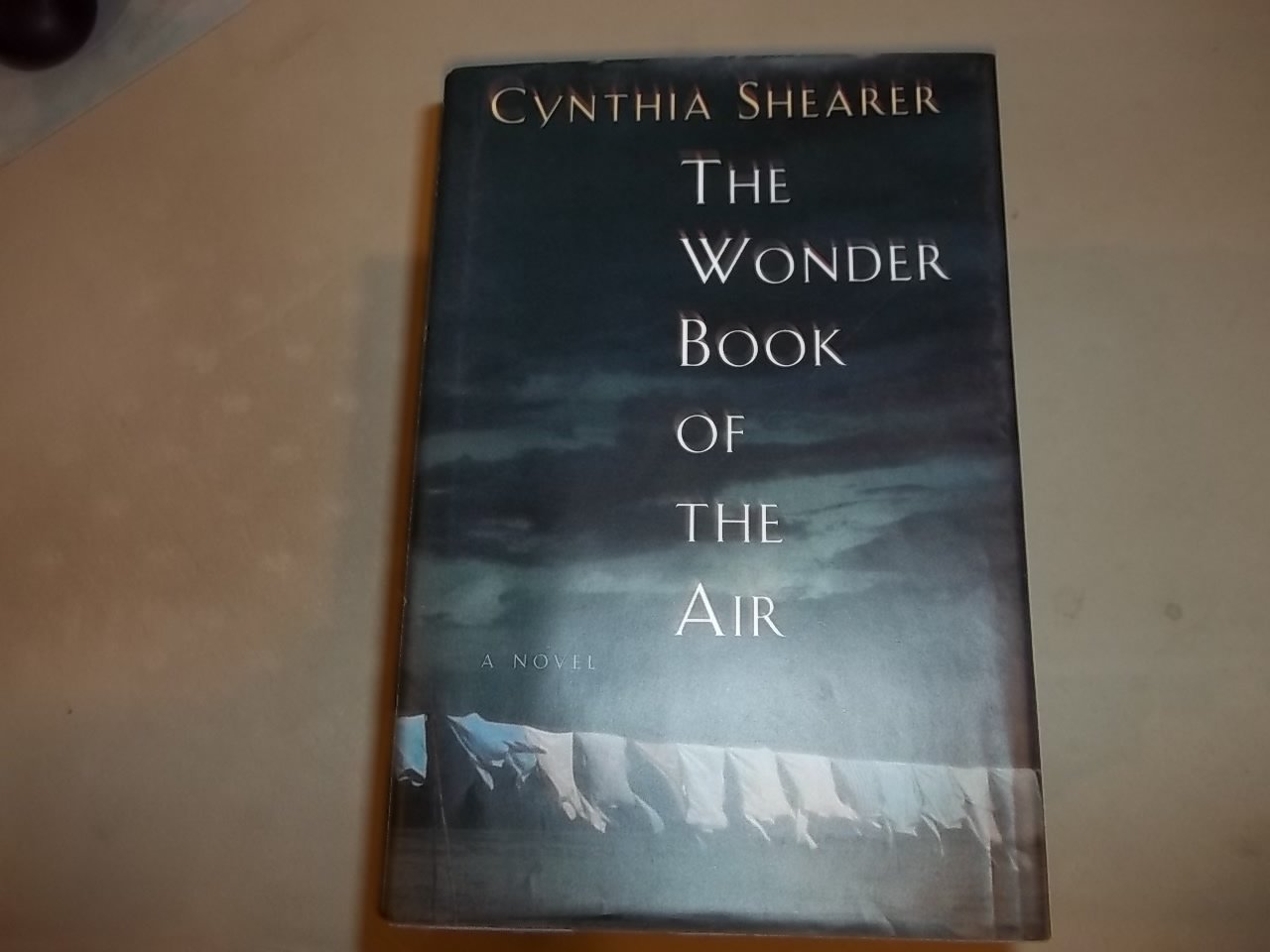 The Wonder Book of the Air Contemporary literature