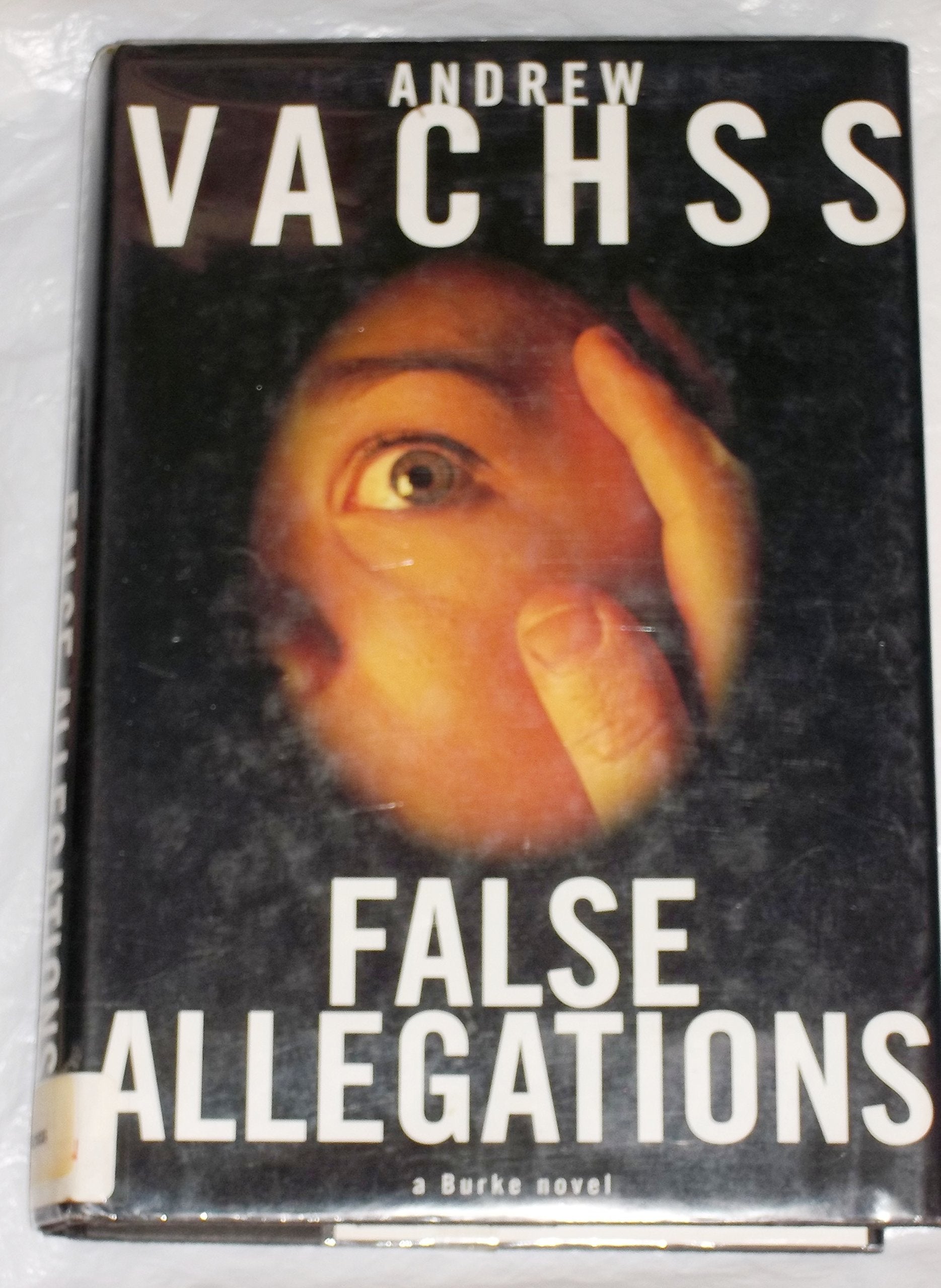 Product Image: False Allegations (Burke)