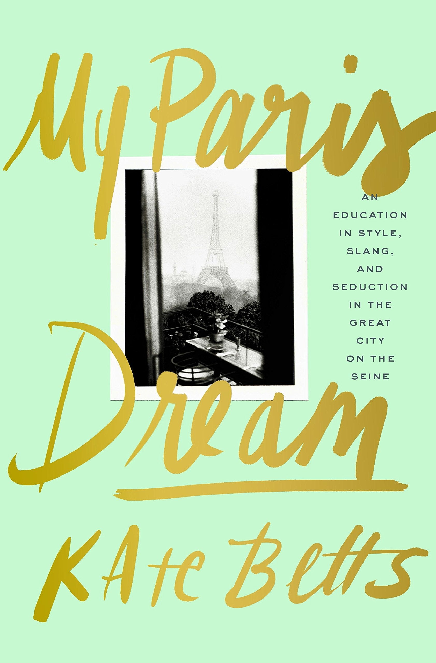 My Paris Dream: An Education in Style, Slang, and Seduction in the Great City on the Seine Memories