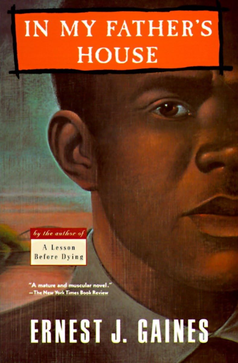 In My Father's House (Vintage Contemporaries) Contemporary literature