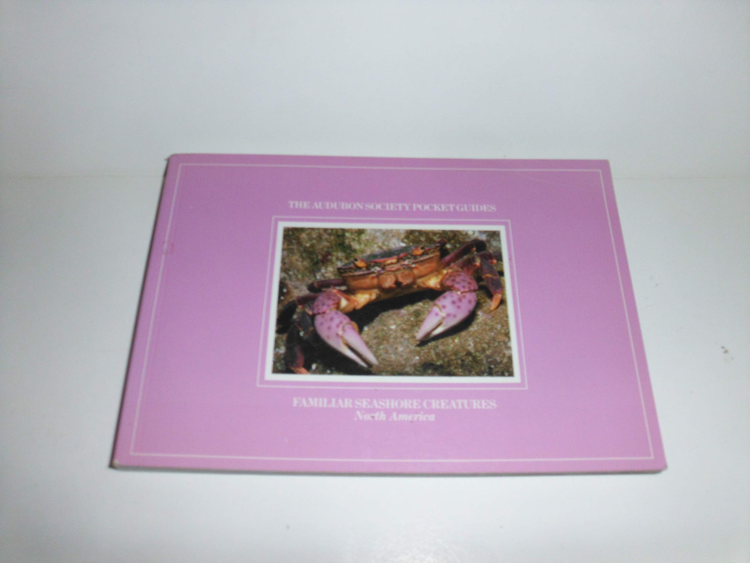 Familiar Seashore Creatures: National Audubon Society Pocket Guide (Audubon Society Pocketguides) Business & Technology