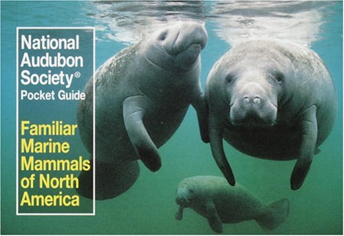 National Audubon Society Pocket Guide to Familiar Marine Mammals (Audubon Society Pocket Guide Series) Mathematics
