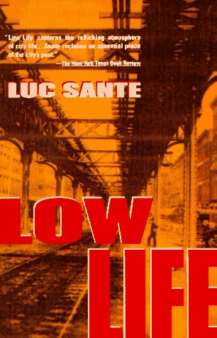 Low Life: Lures and Snares of Old New York (Vintage Departures) Social Sciences