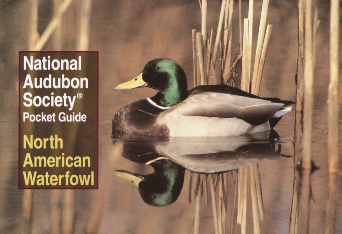 National Audubon Society Pocket Guide: North American Waterfowl (National Audubon Society Pocket Guides) Mathematics