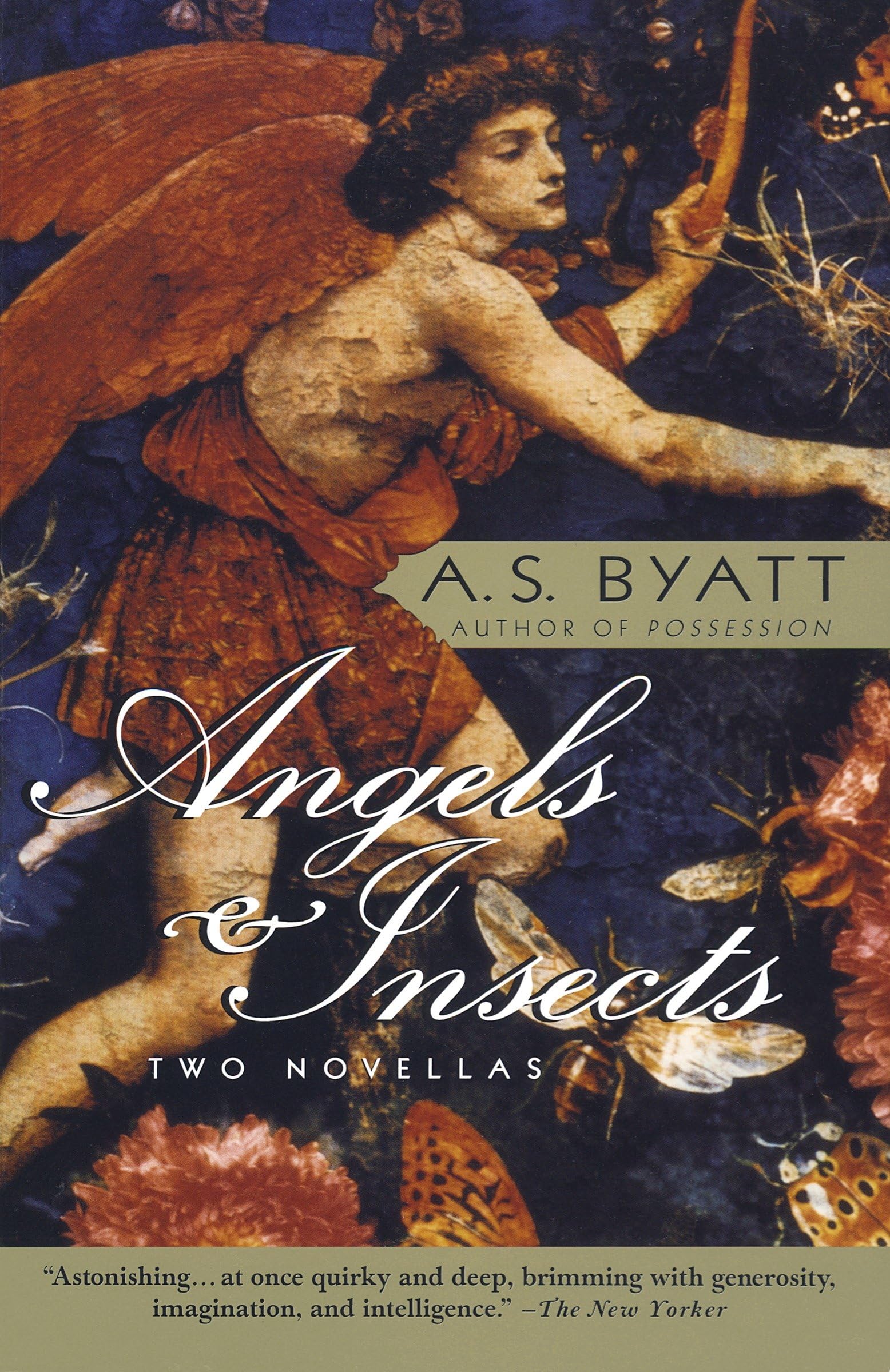 Angels & Insects Contemporary literature Books