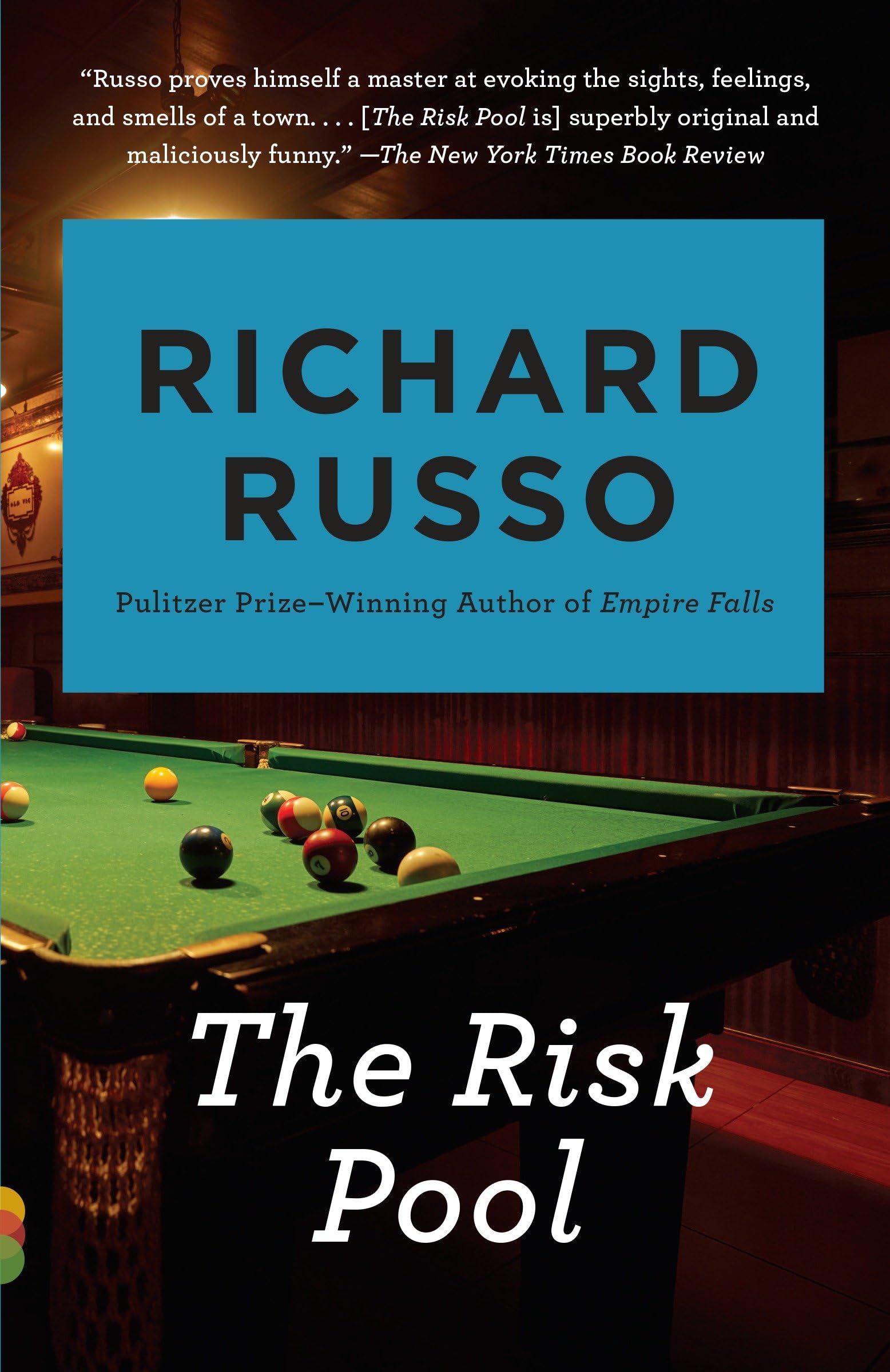 The Risk Pool (Vintage Contemporaries) Contemporary literature