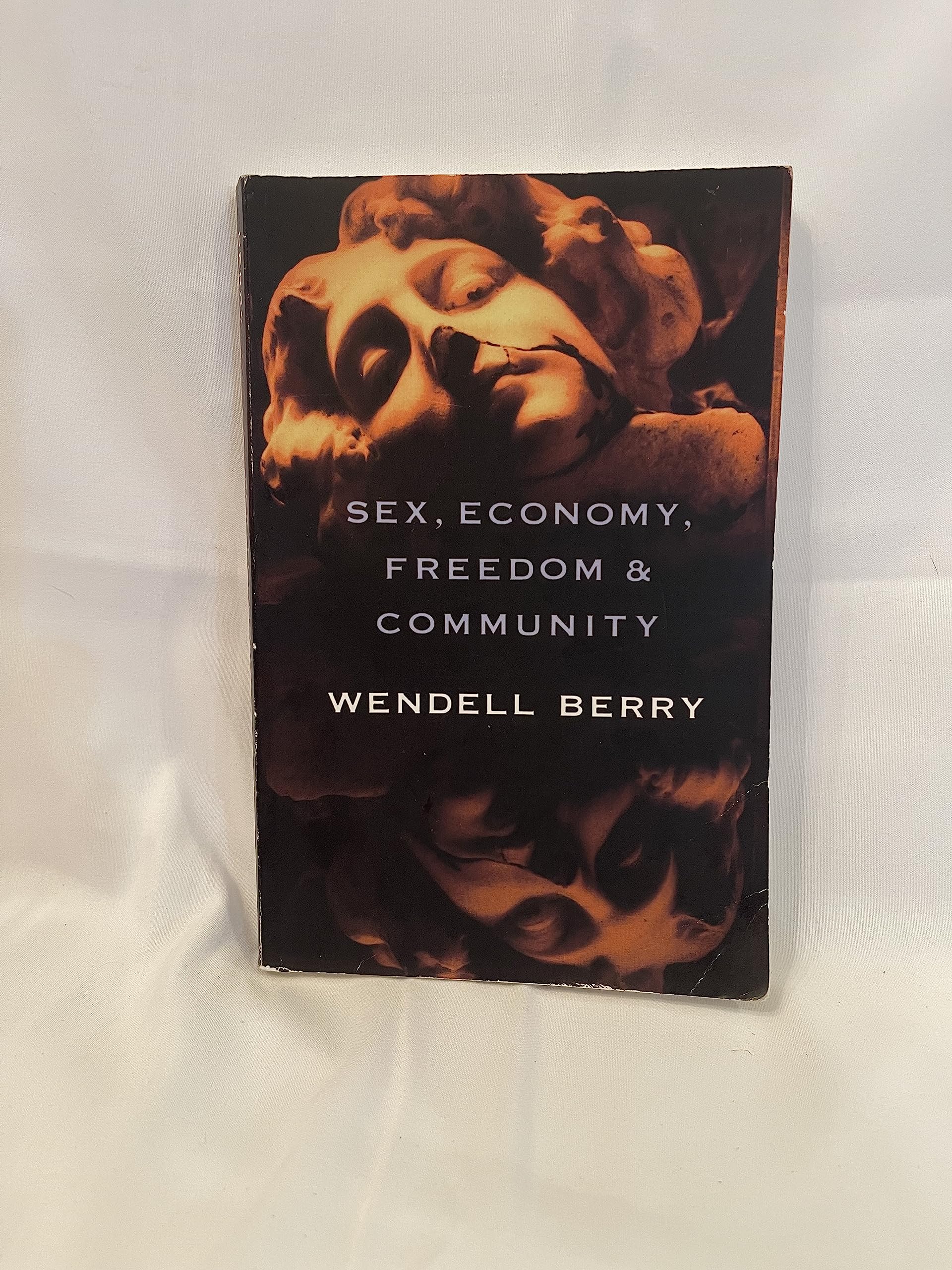 Sex, Economy, Freedom & Community: Eight Essays Books