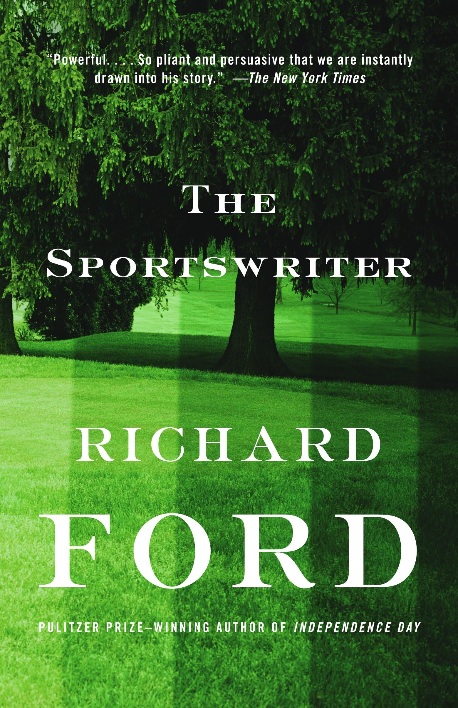 Product Image: The Sportswriter