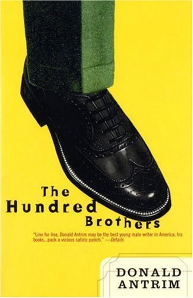 The Hundred Brothers: A Novel Humour & Satire