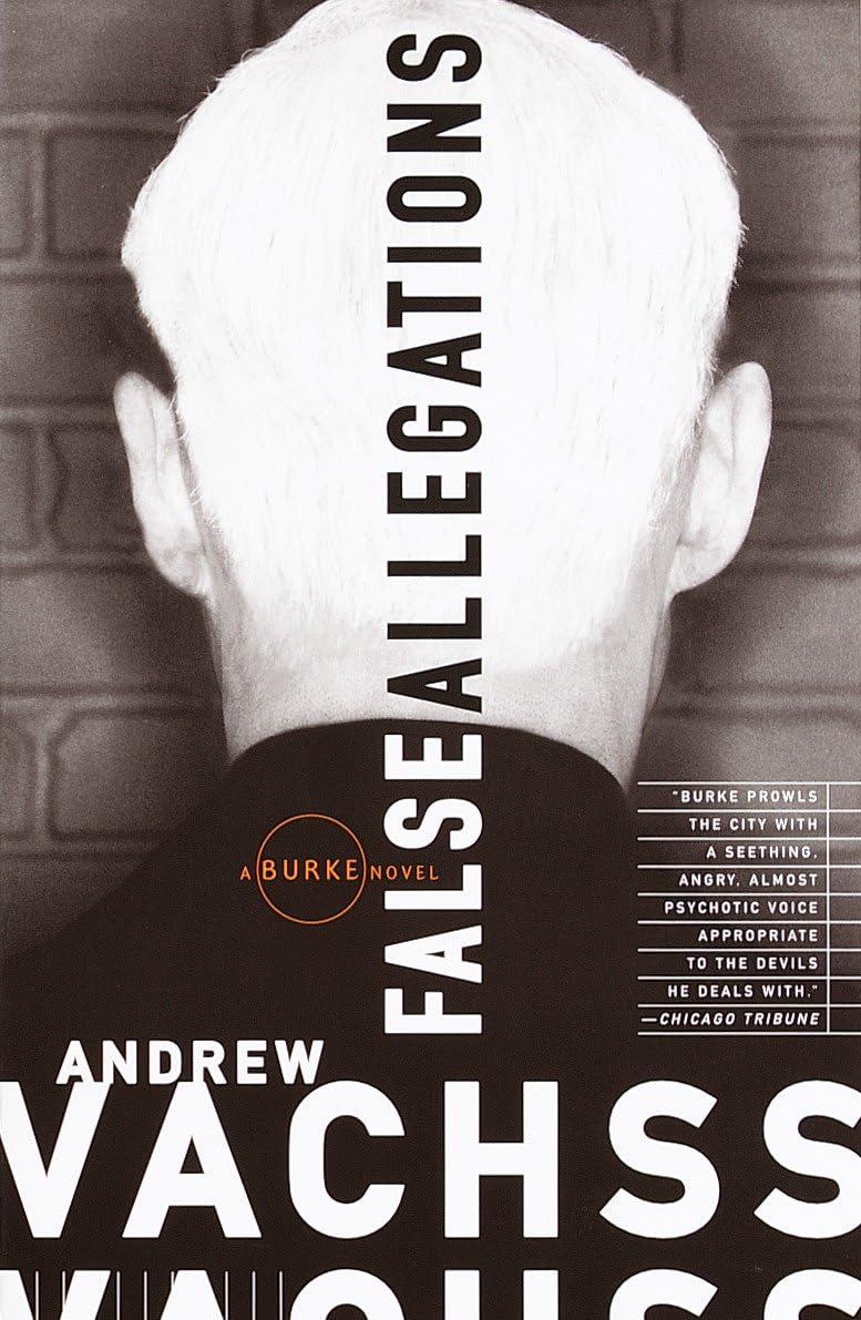 False Allegations: A Burke Novel (Burke Series, Band 9) Contemporary literature