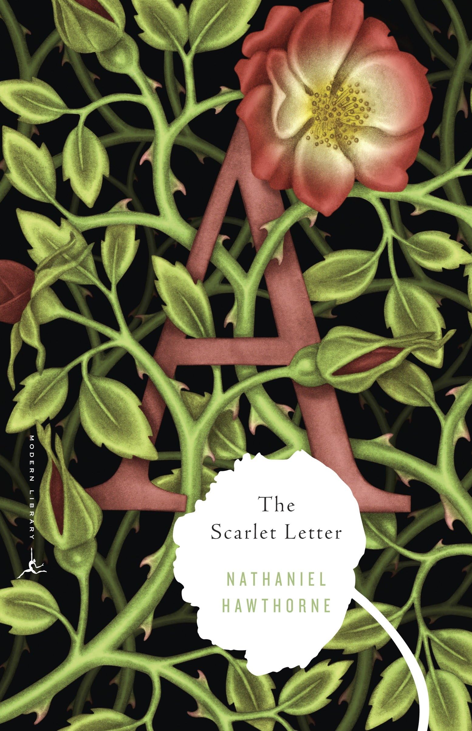 Product Image: The Scarlet Letter