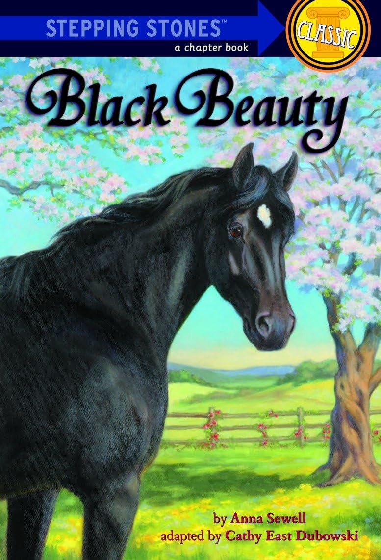 Black Beauty Study Guides Books