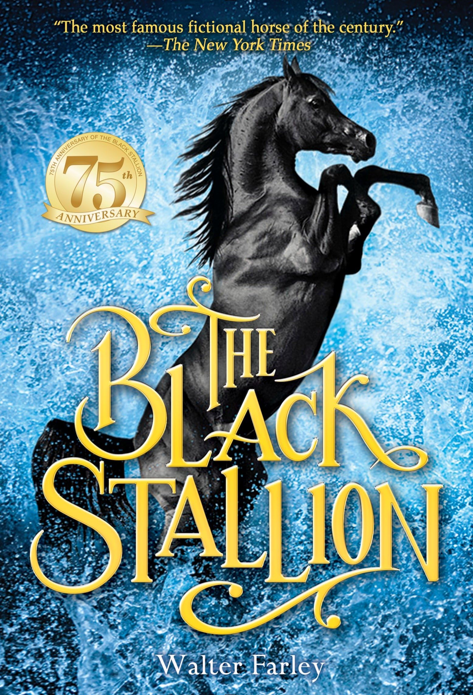 The Black Stallion Leisure & Fun Books