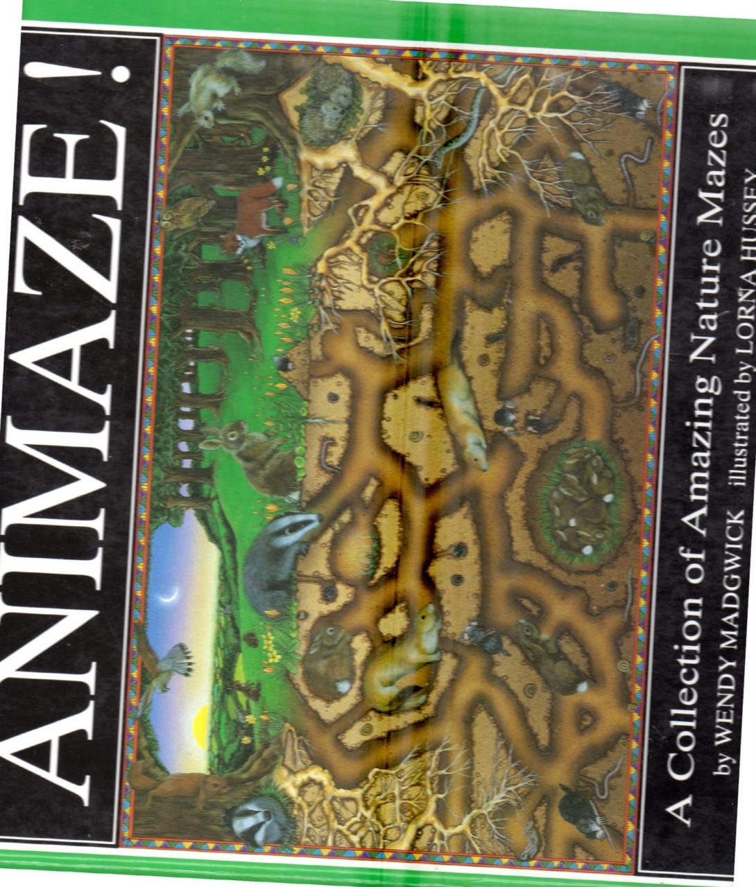 Animaze!: A Collection of Amazing Nature Mazes book