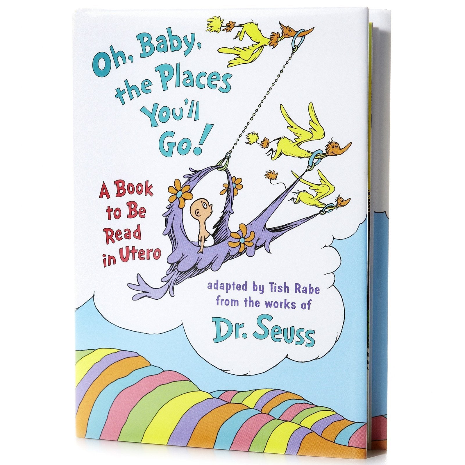 Oh Baby, the Places You'll Go!: A Book to Be Read in Utero (Life Favors) Parents & Children