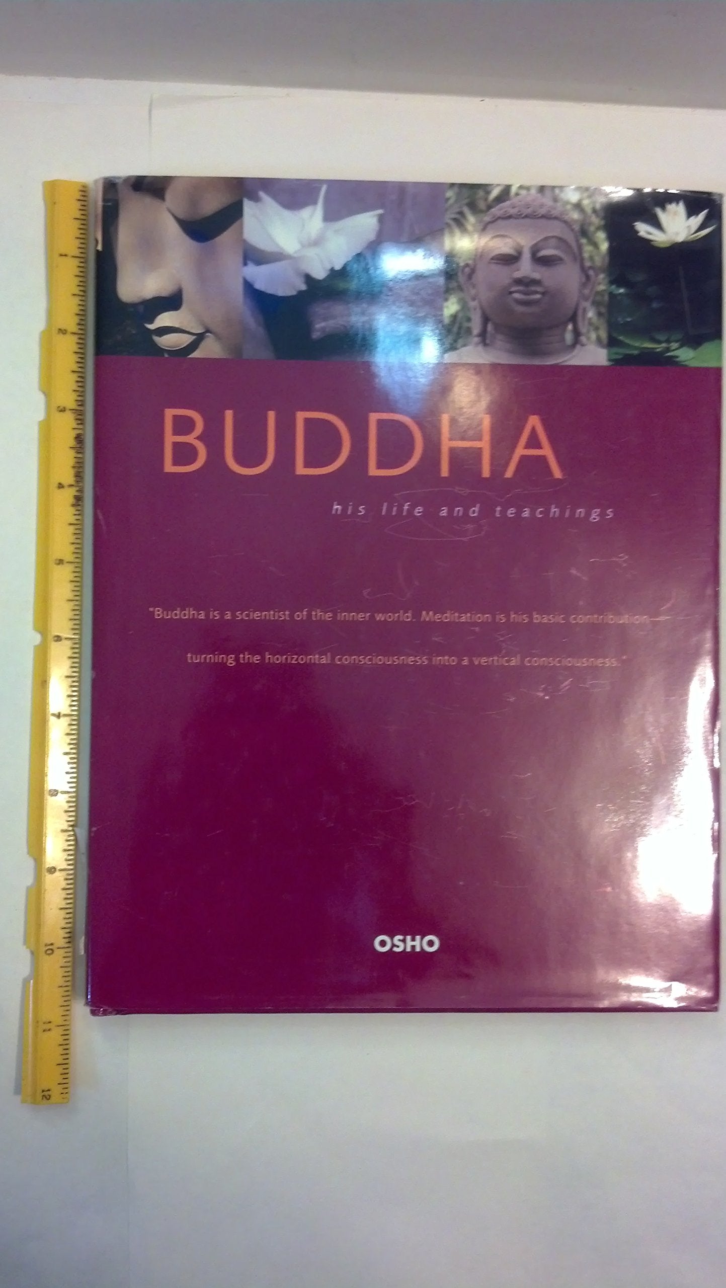 Buddha, His Life and Teachings by Osho; Osho International Foundation (2004-05-03) Lifestyle