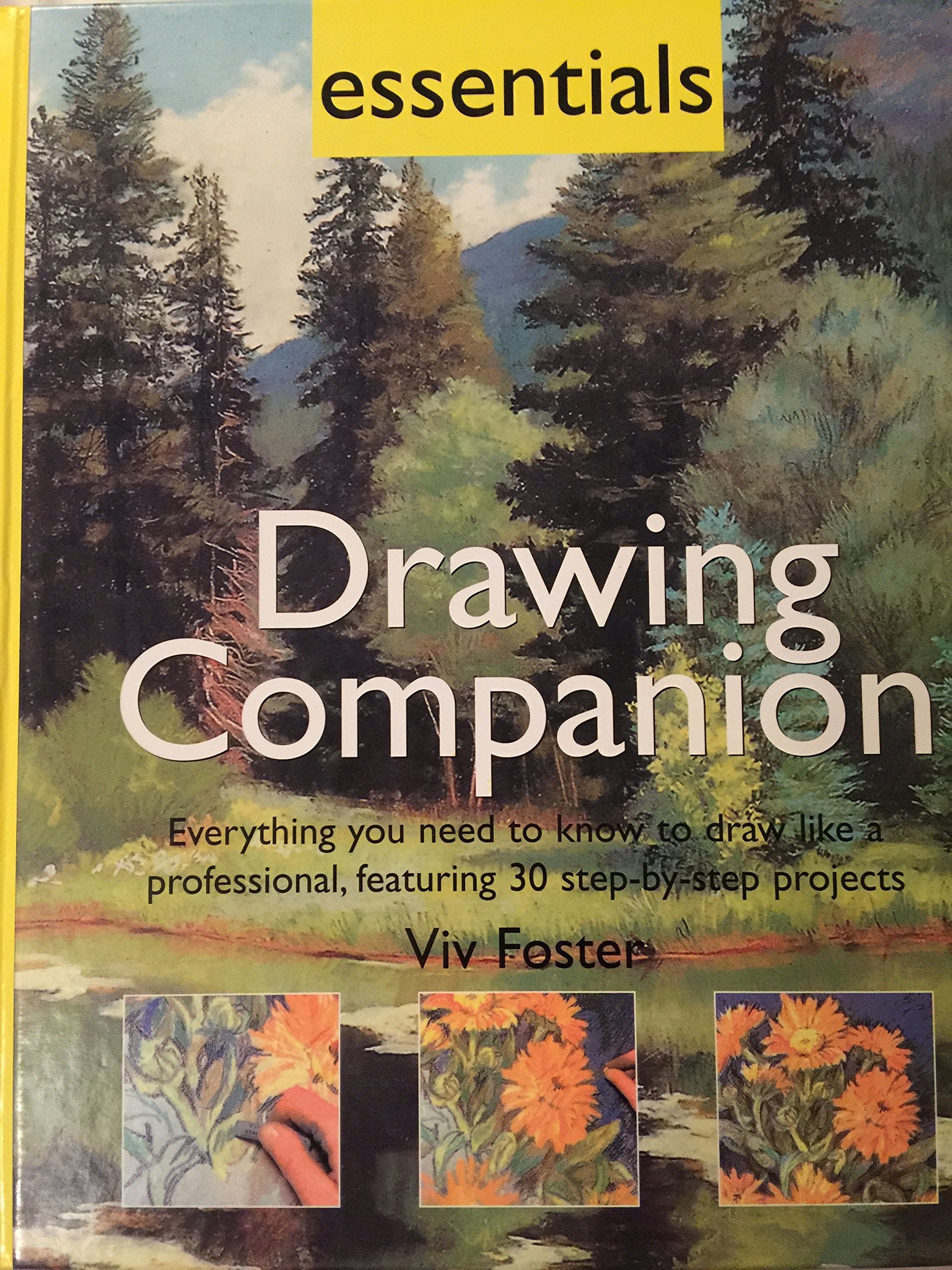 Essentials: Drawing Companion (Everything You Need to Know to Draw Like a Professional, Featuring 30 Step-by-Step Projects) Books