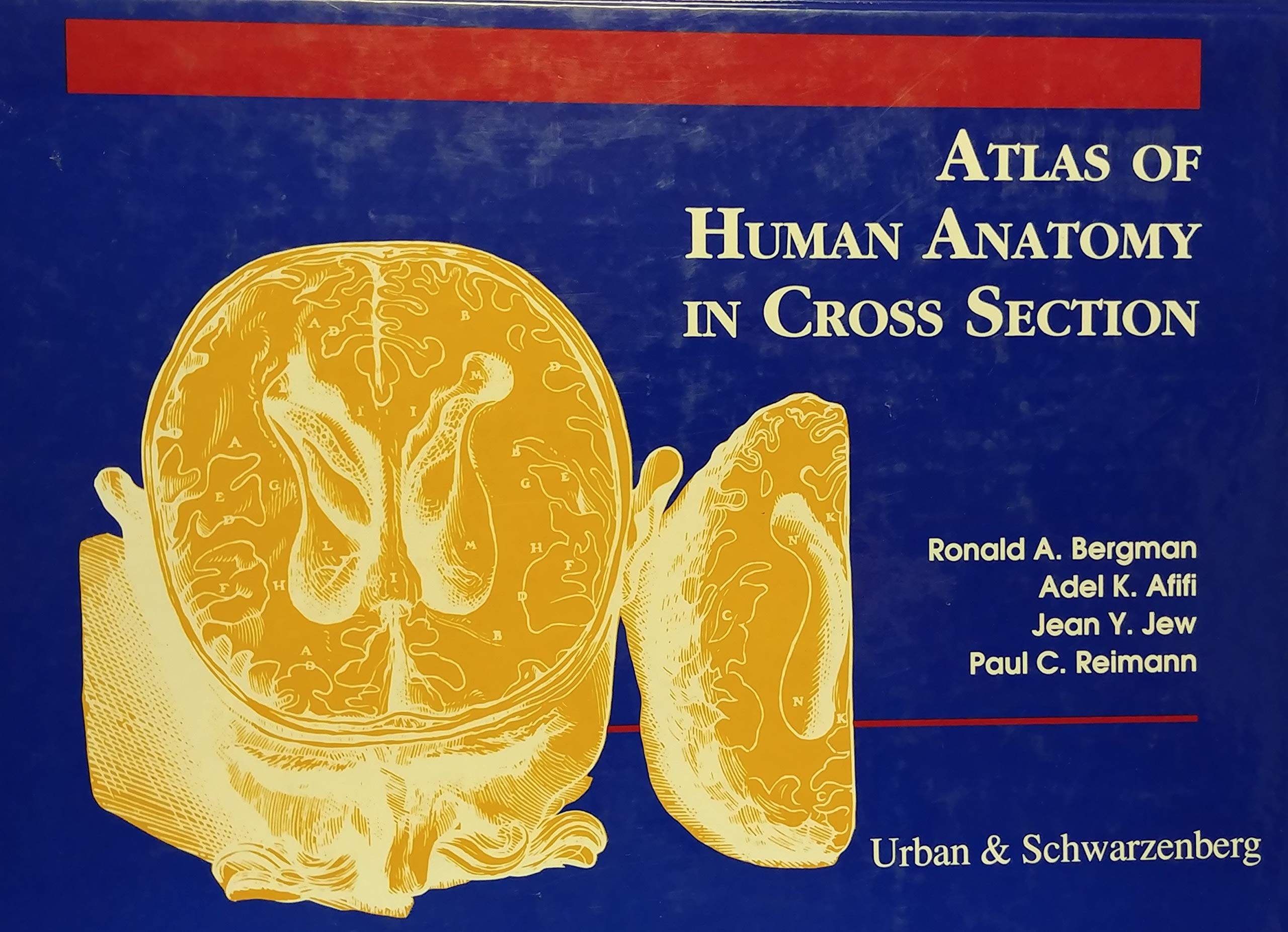 Atlas of Human Anatomy in Cross Section Medicine