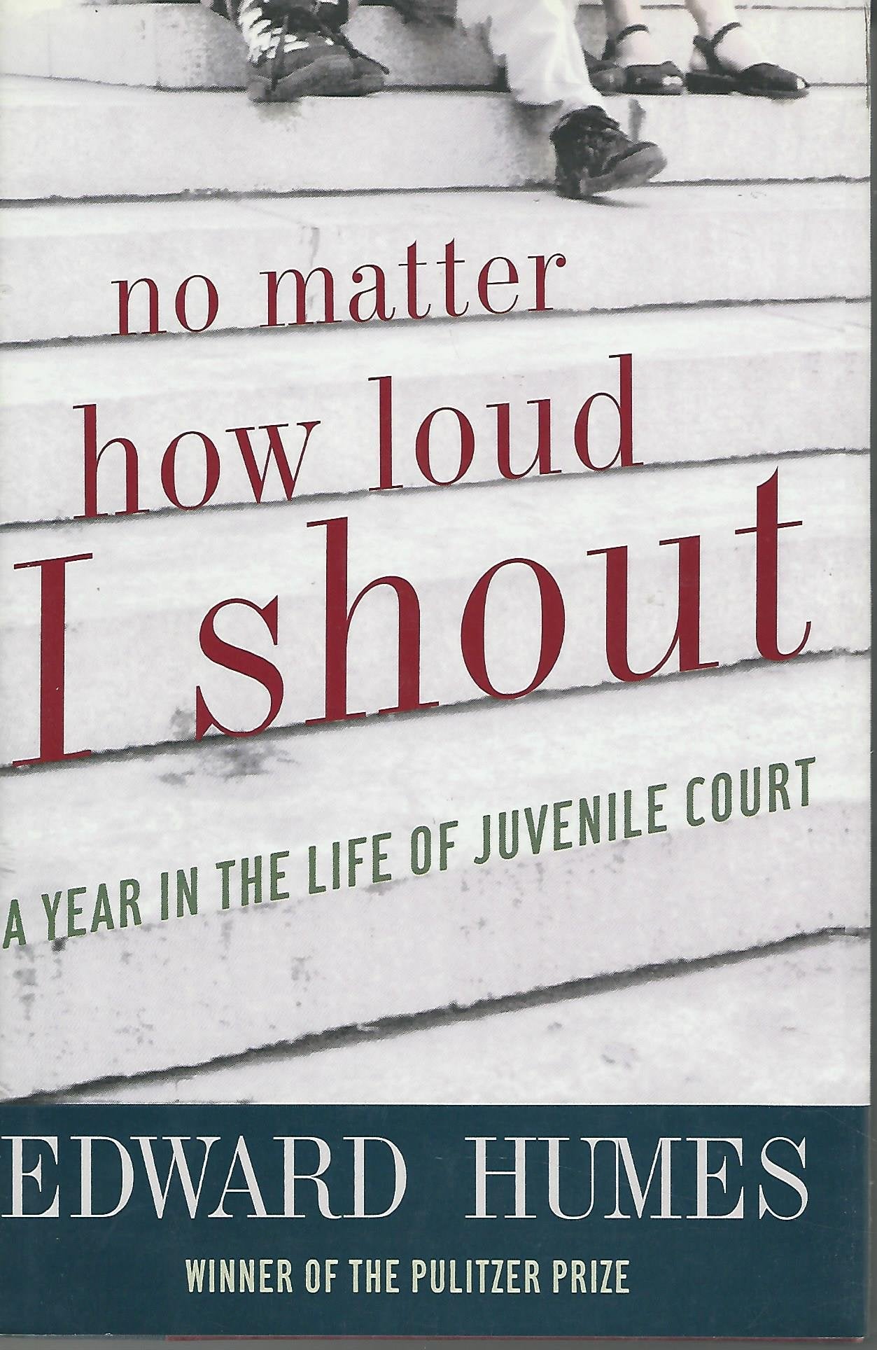 No Matter How Loud I Shout: A Year in the Life of Juvenile Court Law