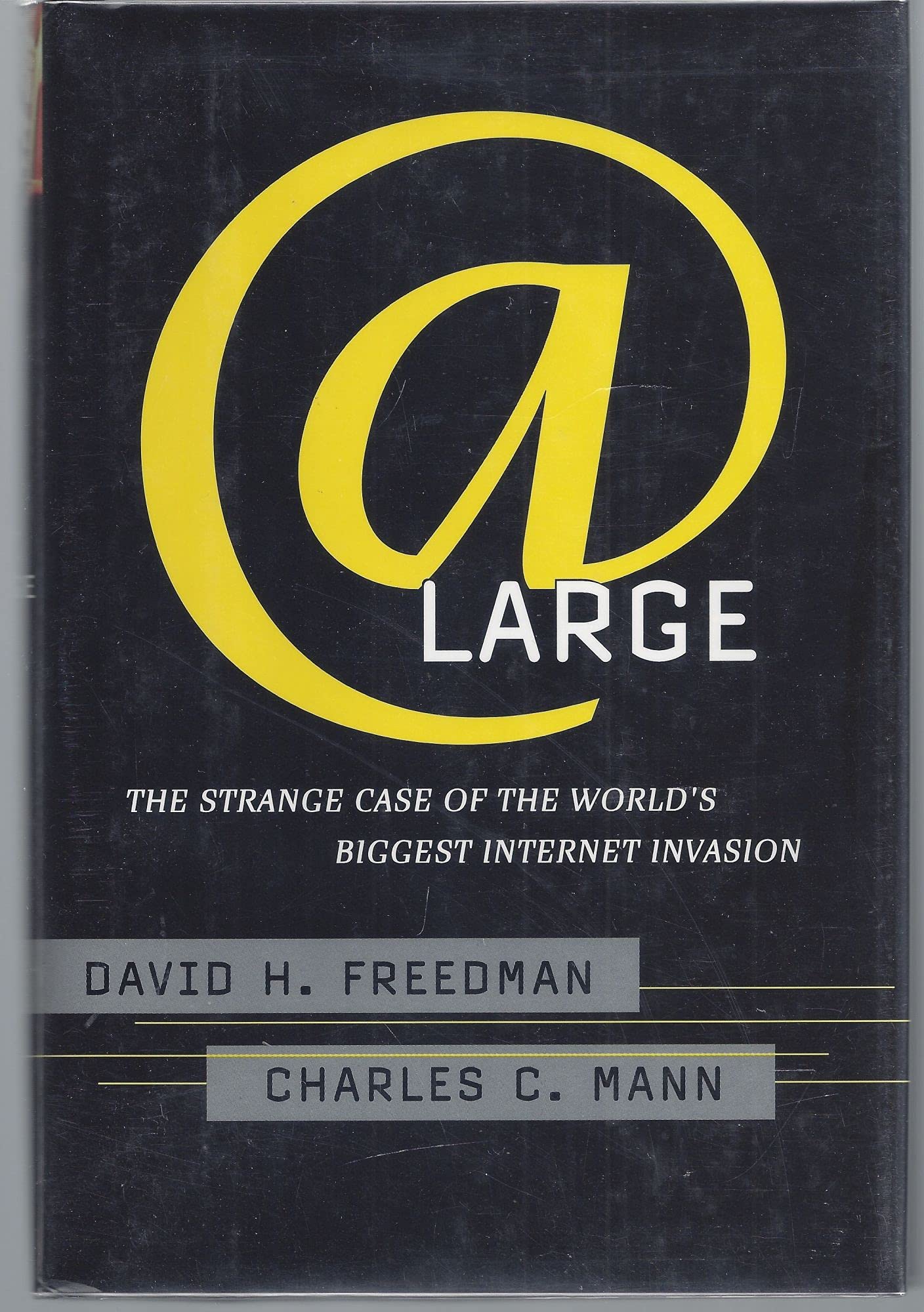 At Large: The Strange Case of the World's Biggest Internet Invasion Politics & Society