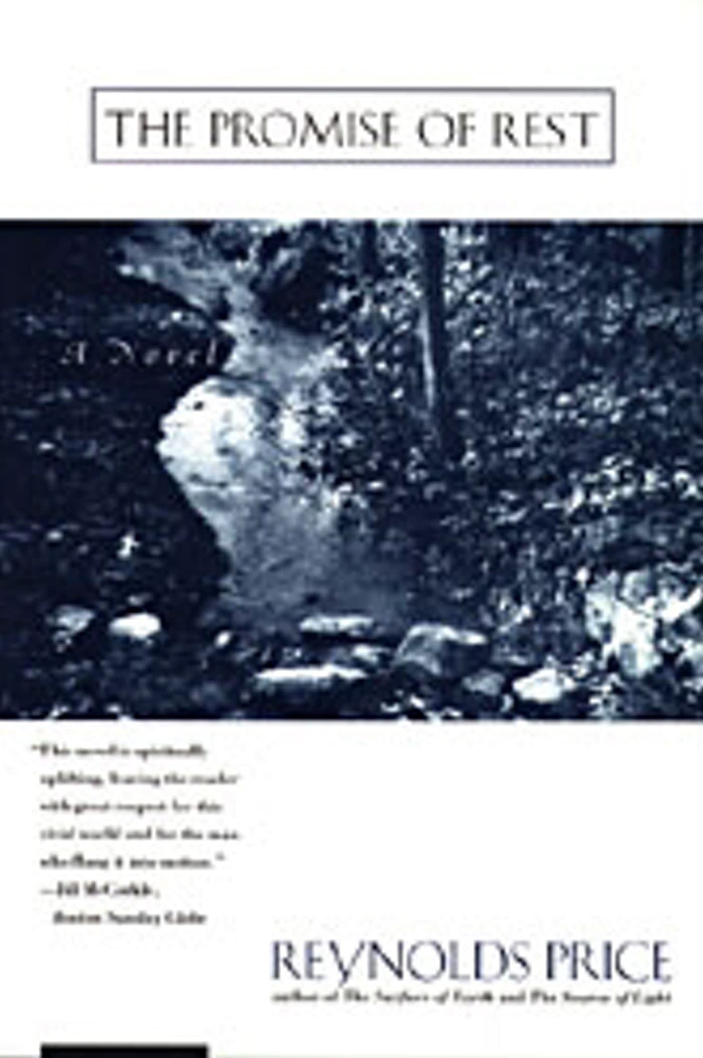The Promise of Rest book