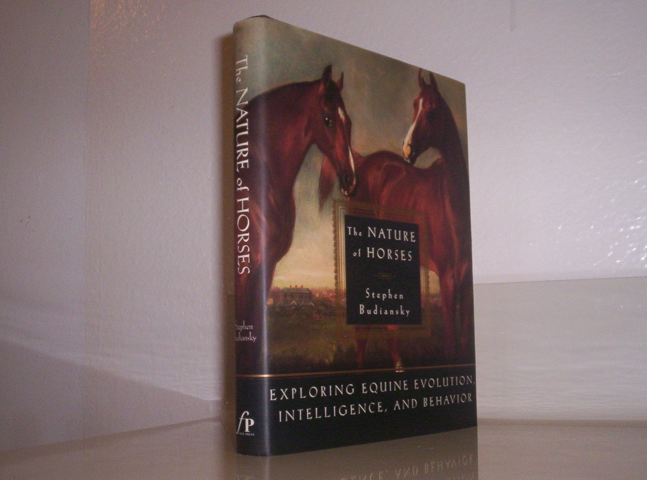 The Nature of Horses Mathematics