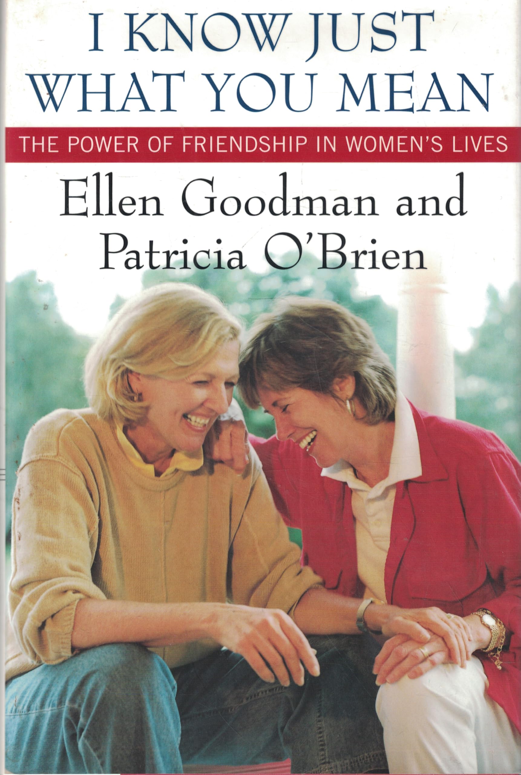 I Know Just What You Mean: The Power of Friendship in Women's Lives: The Power of Friendshiping Women's Lives Social Sciences