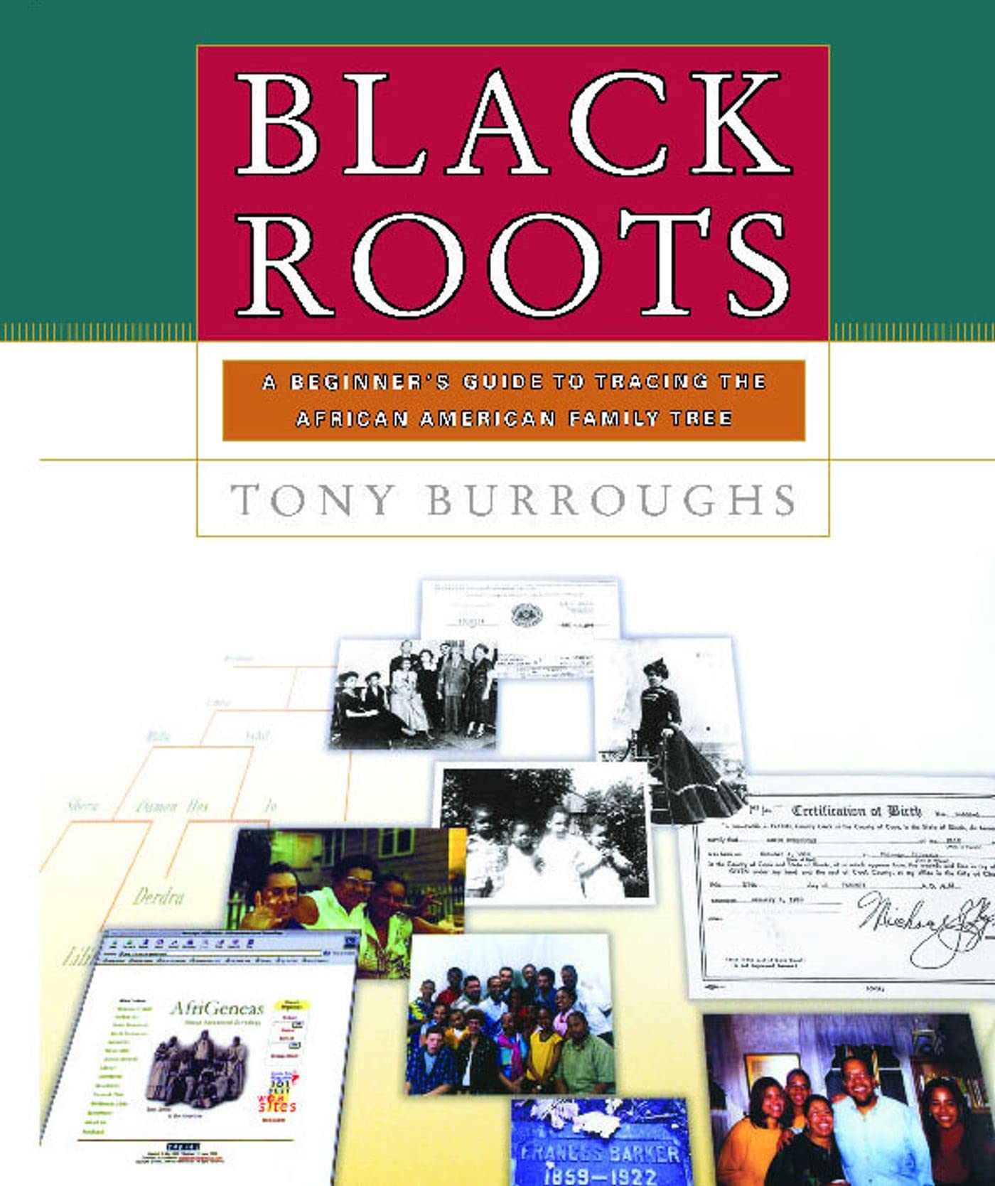 Black Roots: A Beginners Guide To Tracing The African American Family Tree Social Sciences