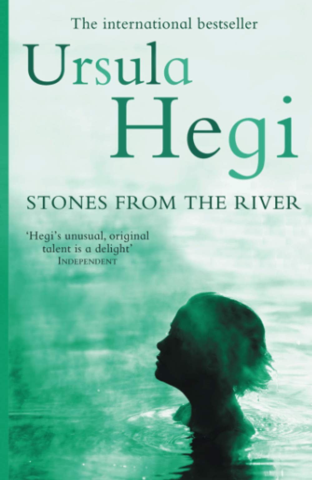 Stones From The River Contemporary literature Books