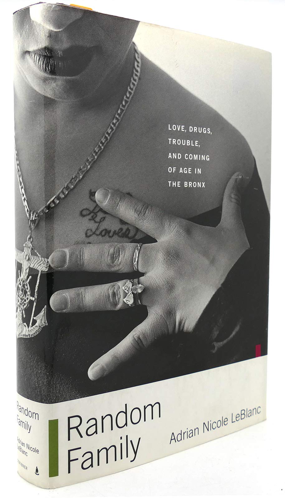 Random Family: Love, Drugs, Trouble, and Coming of Age in the Bronx Social Sciences