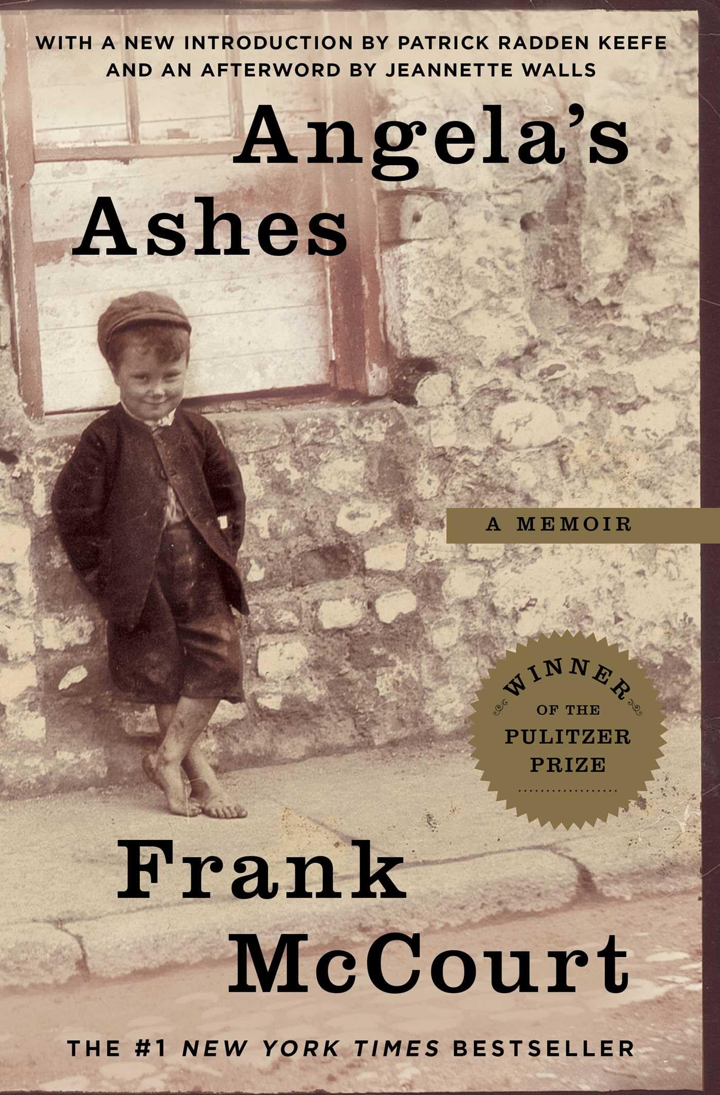 Angela's Ashes Social Sciences