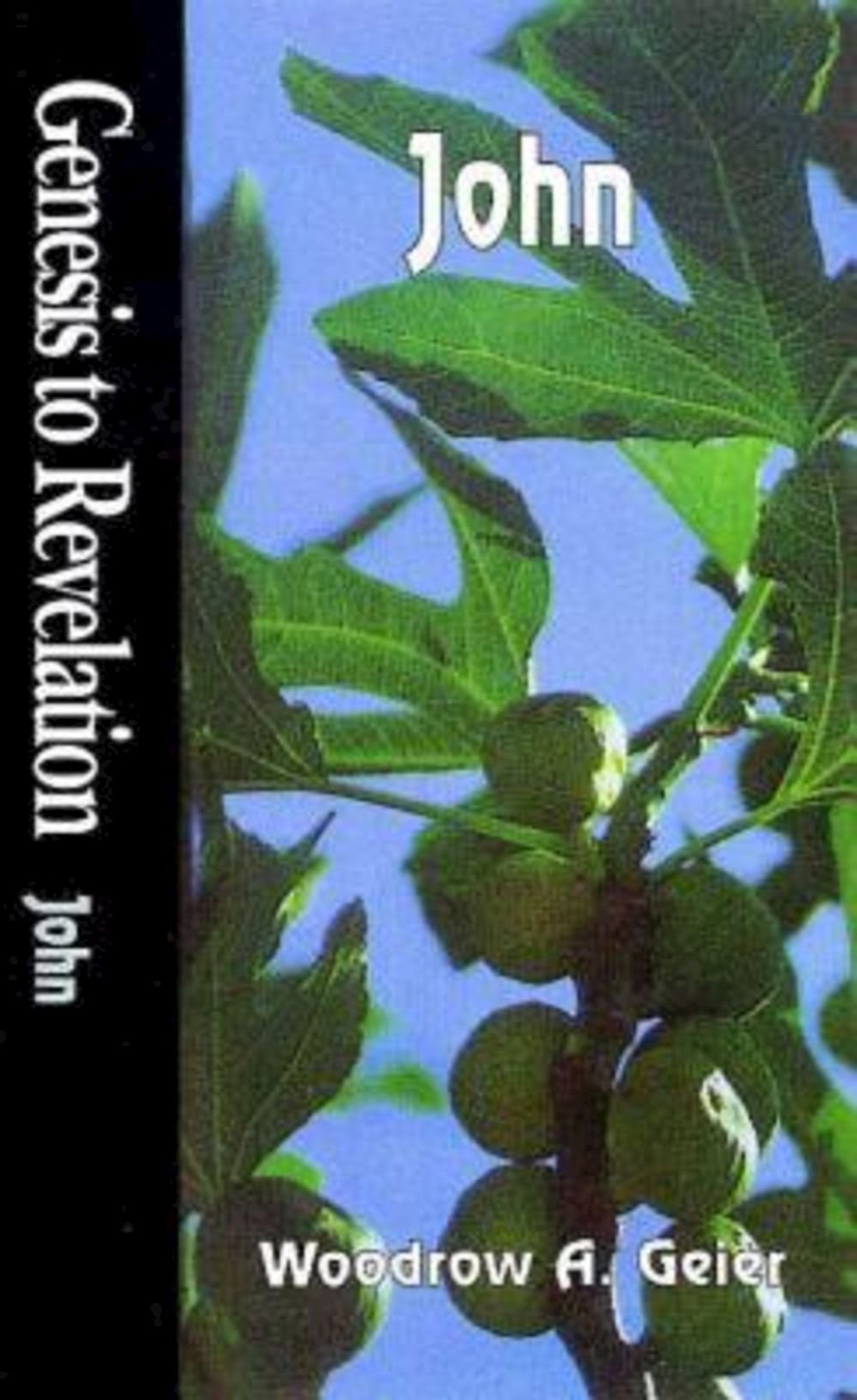Genesis to Revelation: John Student Book book