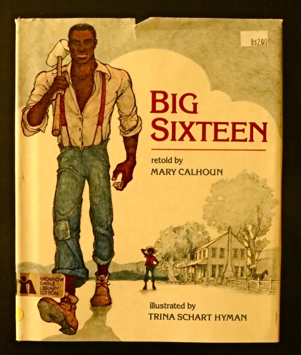 Big Sixteen Books