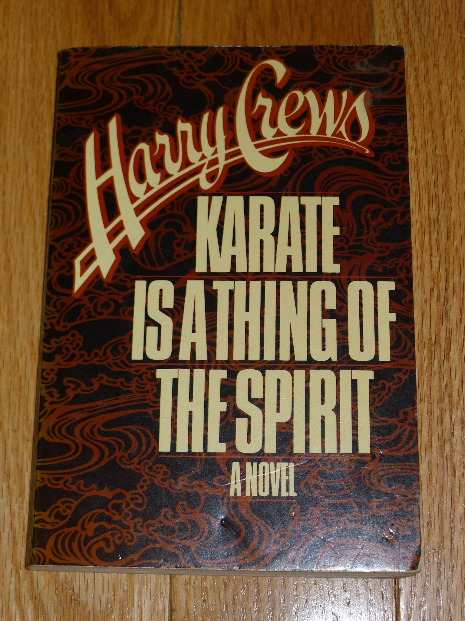 Karate Is a Thing of the Spirit: A Novel book
