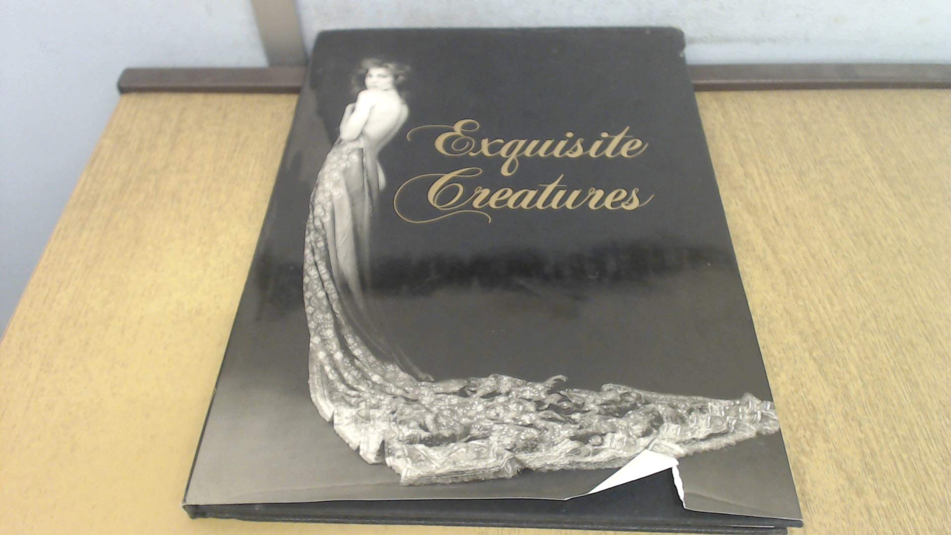 Exquisite Creatures Photography