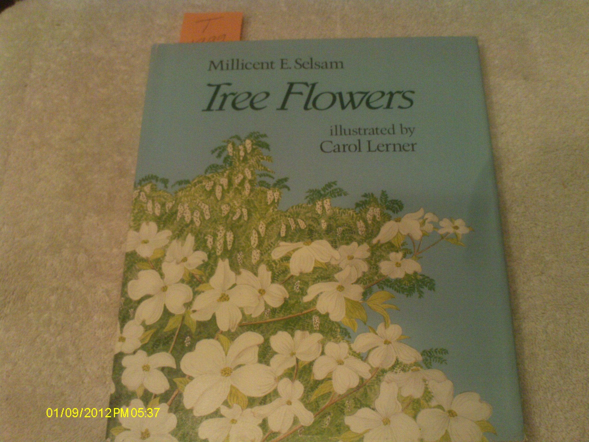 Product Image: Tree Flowers