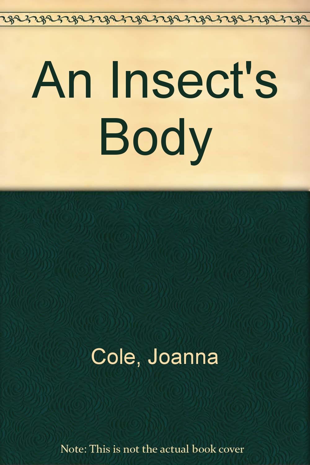 Product Image: An Insect's Body