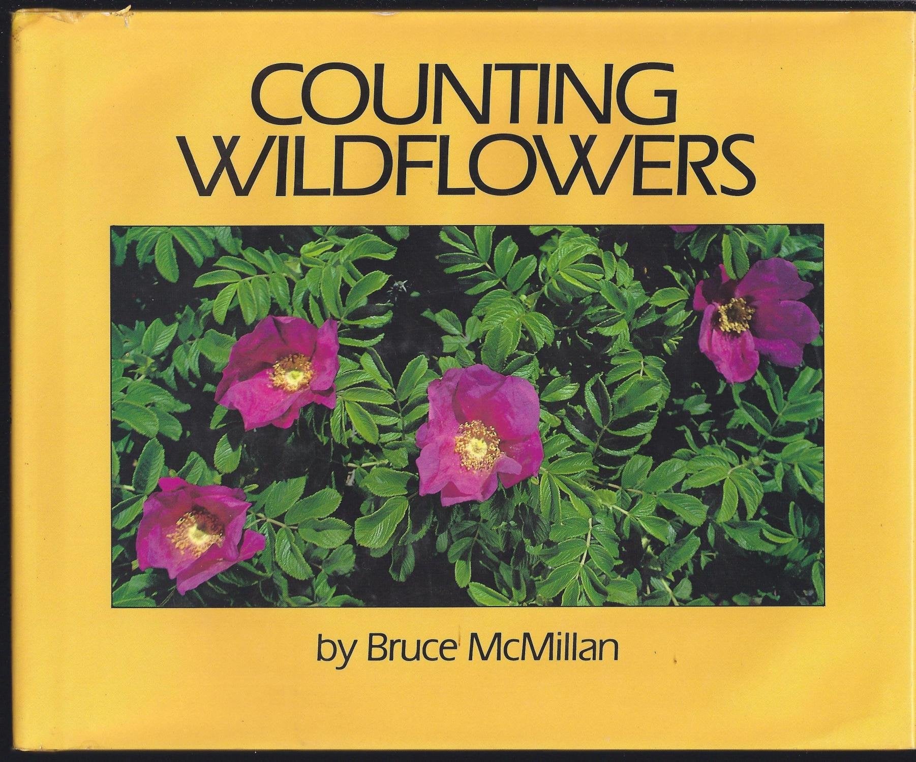 Product Image: Counting Wildflowers