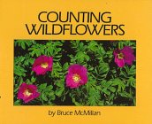 Product Image: Counting Wildflowers