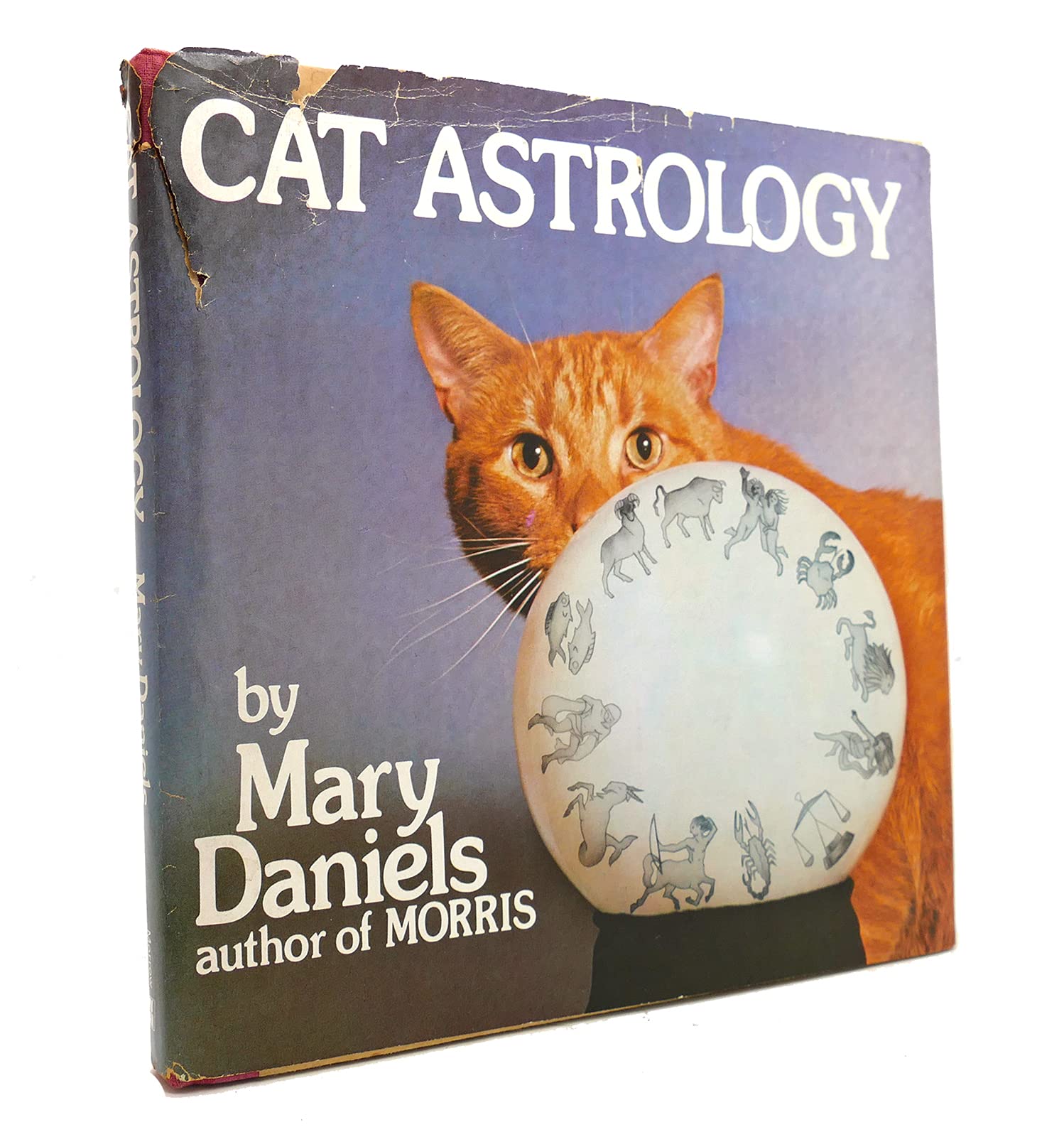 Product Image: Cat astrology