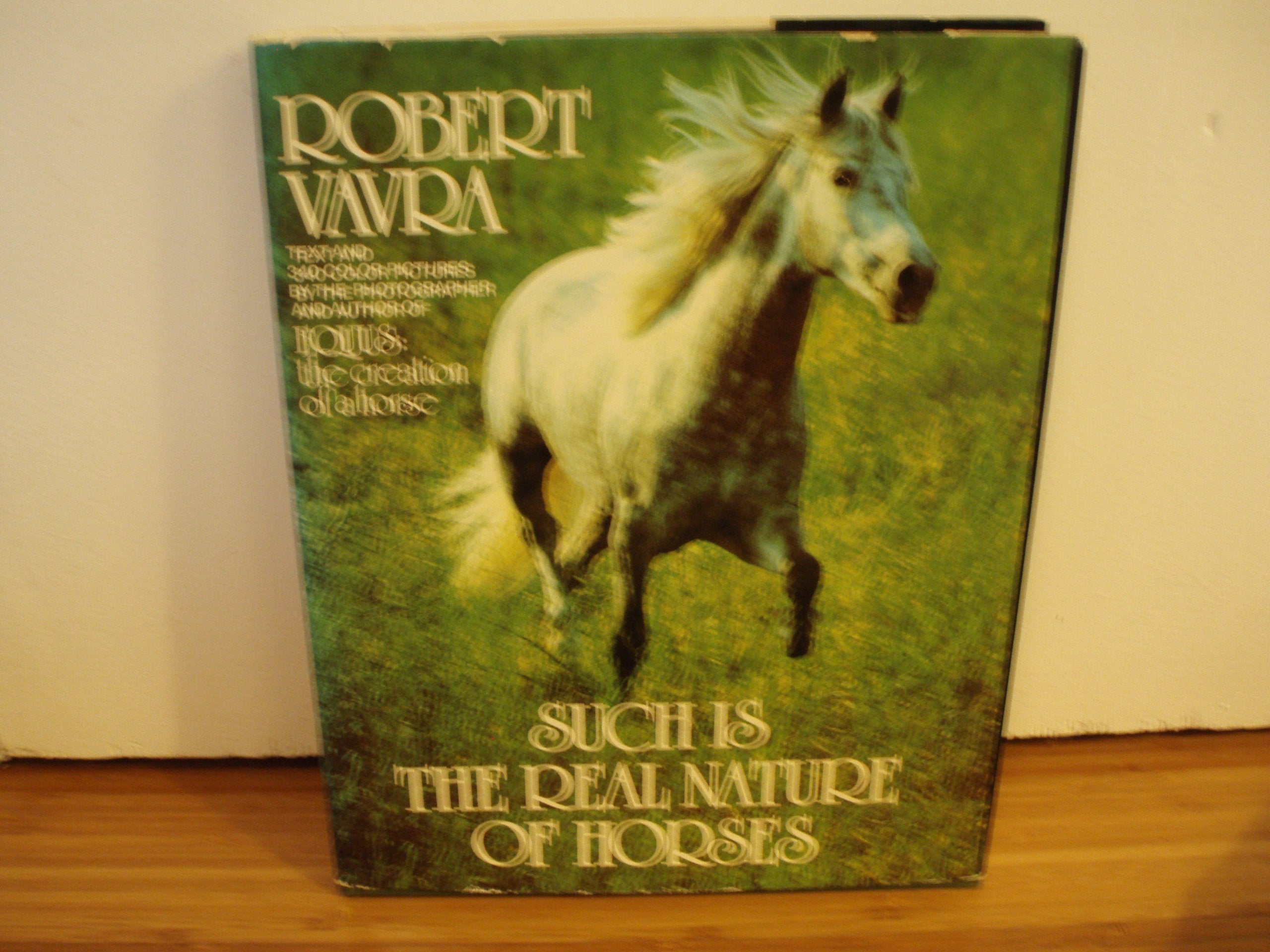 Such Is the Real Nature of Horses Nature & Animals