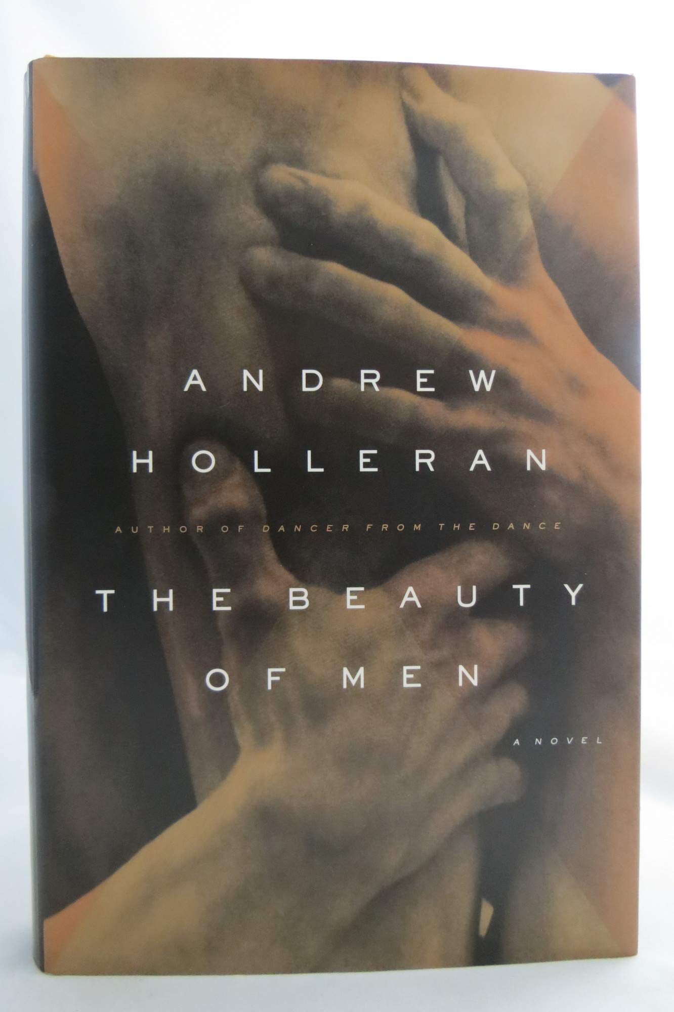 The Beauty of Men: A Novel LGBTQ+
