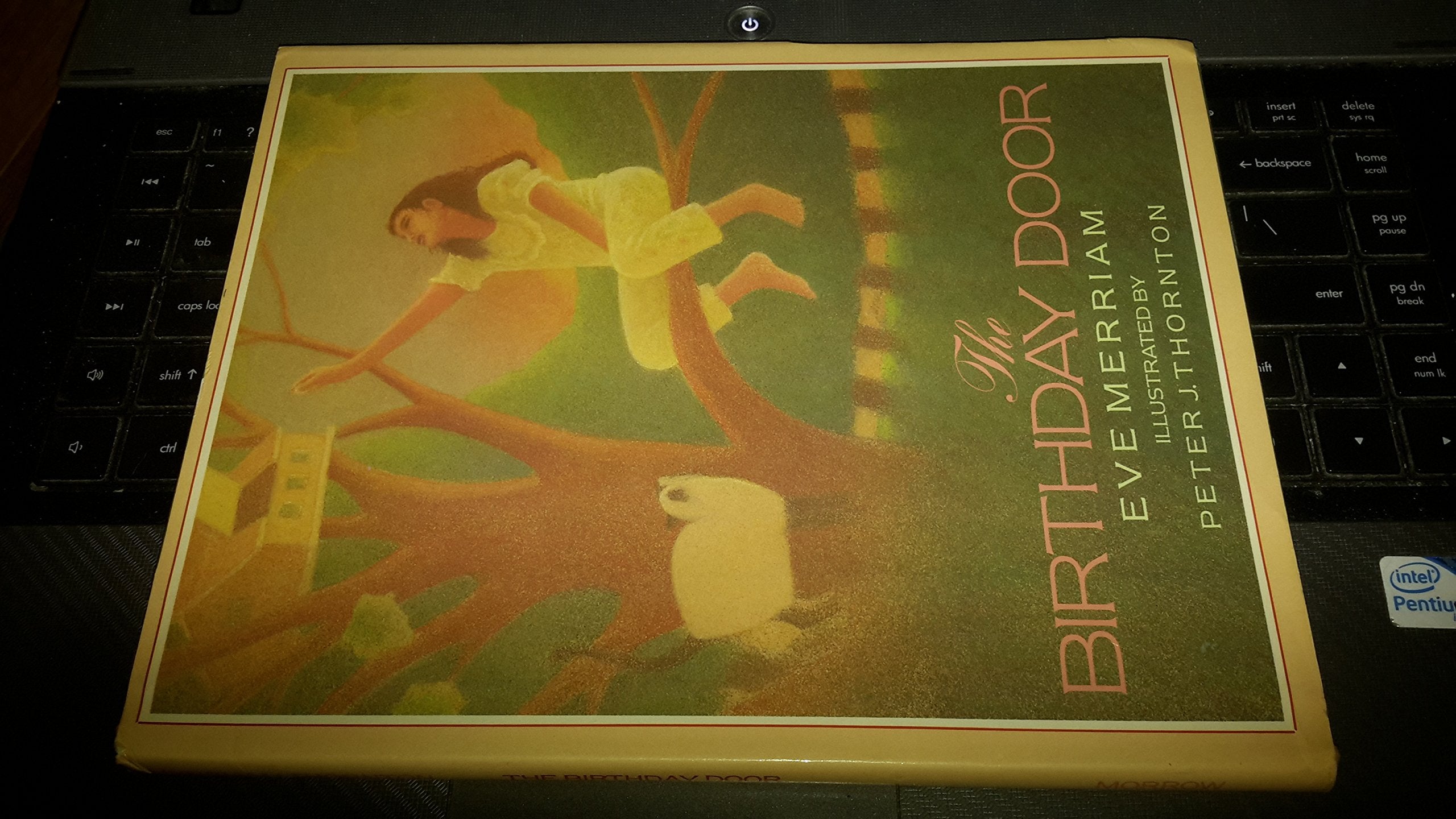 The Birthday Door book