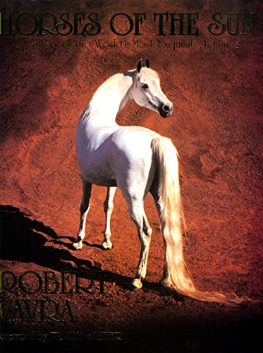 Horses of the Sun Photography