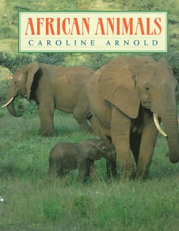 Product Image: African Animals