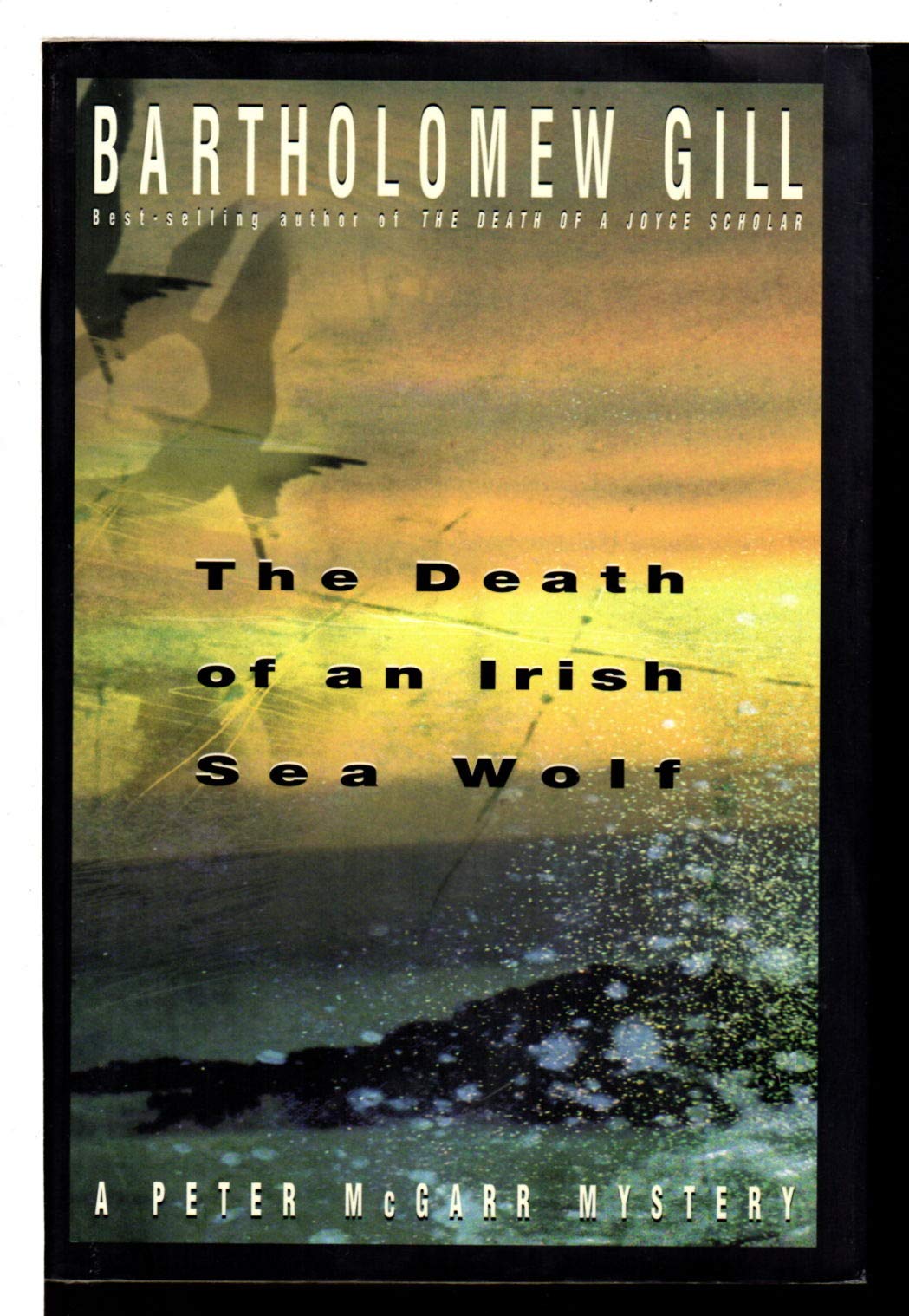 The Death of an Irish Sea Wolf: A Peter McGarr Mystery book