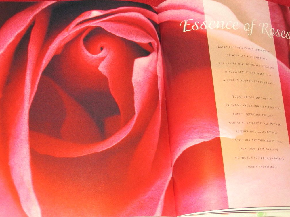 Victoria at Home With Roses Hobbies & Crafts